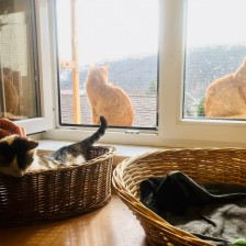 IMG_2590.JPEG